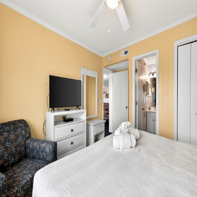 Ocean Forest Colony photo 4