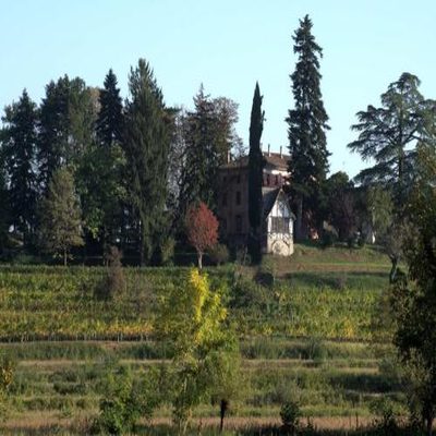 Casali del Picchio - Winery photo 5