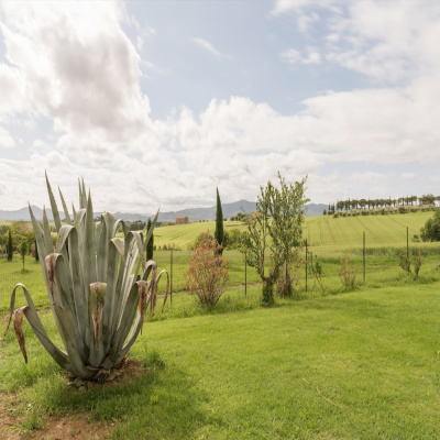 Poggio Verde photo 4