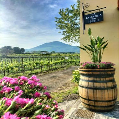 Vesuvio Inn Guest House e Wine Experience photo 3