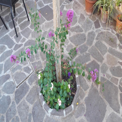 Florence Stadium B&B photo 4