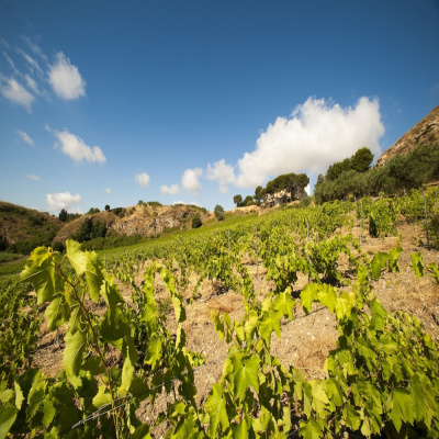 Feudo del Biviere photo 2