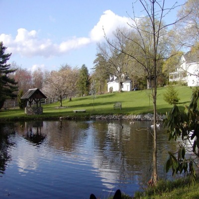 The Inn on the Horse Farm photo 5
