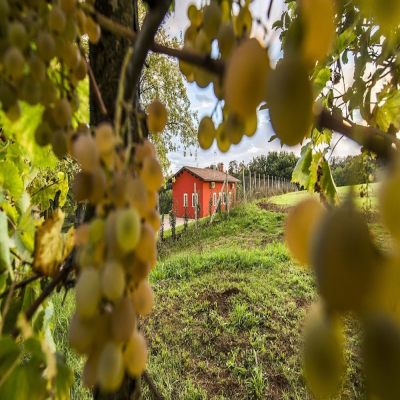 Agriturismo Borgo Imperiale photo 5