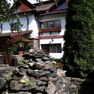 Pensiunea Trei Ponei photo 3