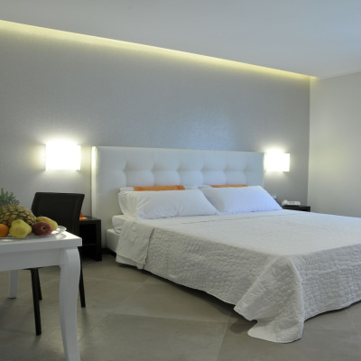 Gemini Suite photo 2