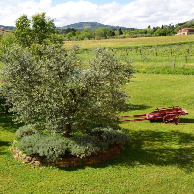 Al Podere di Rosa photo 4
