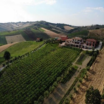 Agriturismo Emidio Pepe photo 3