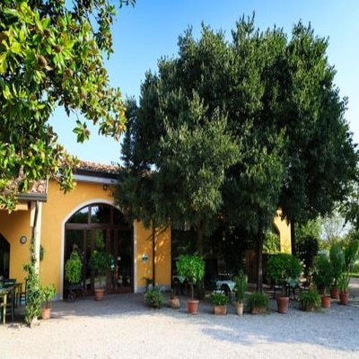 Agriturismo La Montina photo 4