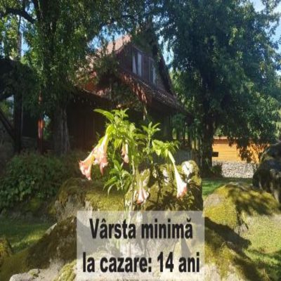 Casa Bunicului photo 5