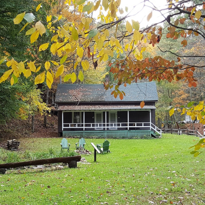 The Cabins at Healing Springs photo 2