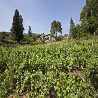 Fattoria Le Vegre photo 2