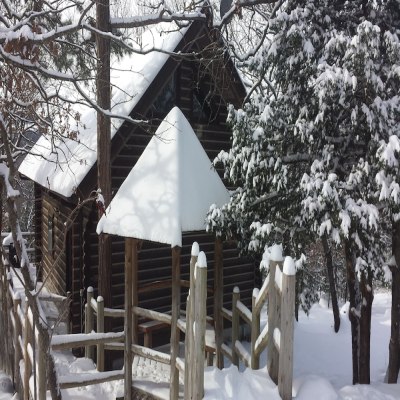 Cherokee mountain log cabin resort photo 2