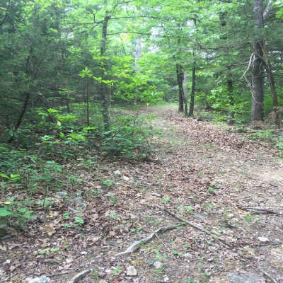 Cherokee mountain log cabin resort photo 3