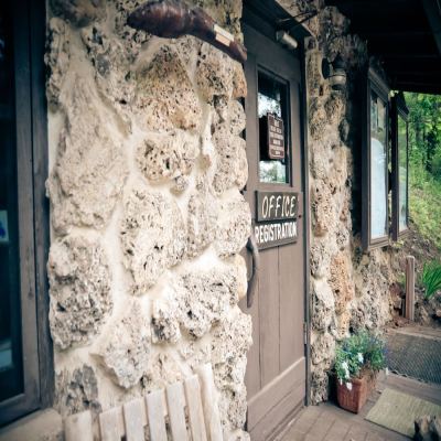 Wilderness Lodge photo 3