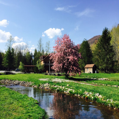 Elk Springs Resort photo 5