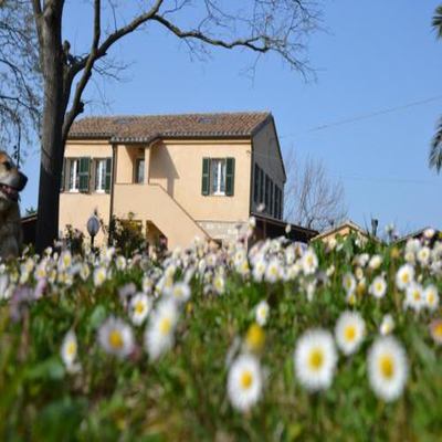 Il Mandorlo - Agriturismo e Azienda Agricola Ferrato photo 2