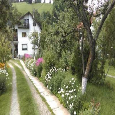 Pensiunea Iulia photo 3