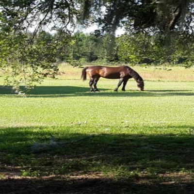 Kokomo Farms photo 3