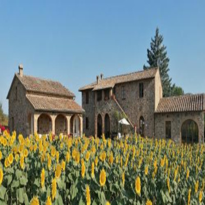 Casetta della Pina photo 2