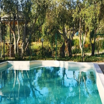 la corte degli ulivi photo 5
