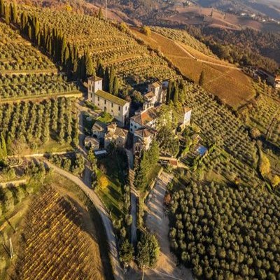 Fattoria di Cinciano photo 5