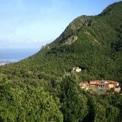 Hotel Ristorante Orlando photo 2
