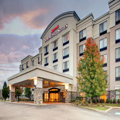 Springhill Suites By Marriott Wheeling Triadelphia Area photo 2