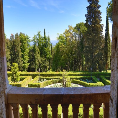 La Collegiata photo 4