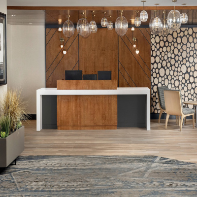 Residence Inn By Marriott Denver South-park Meadows Mall photo 2