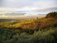 Fattoria Gambaro di Petrognano photo 4