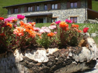 Agriturismo Le Radici photo 4