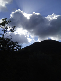 Agriturismo Locanda del Papa photo 2
