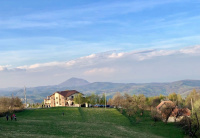 Poiana Viselor photo 5
