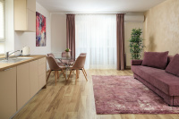 Brasov Holiday Apartments photo 5