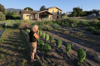 Country House Erba Regina photo 5