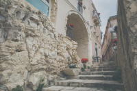 Sabbinirica photo 3