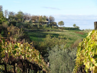 Agriturismo Fontenuova photo 2