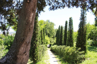 Villa Rinalducci photo 2