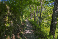 Il Borgo Dei Celti photo 5