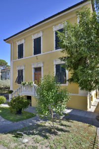 Lucca in Villa San Donato photo 5