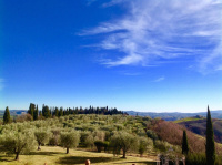 Agriturismo Podere Fornaci photo 3