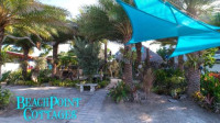 BeachPoint Cottages photo 4