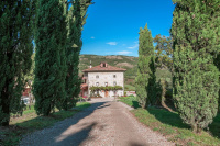 Fattoria Ca' di Fatino photo 5