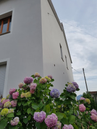 B&B Buscemi photo 5