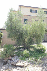 Agriturismo Casa degli Archi photo 5