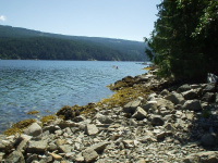 Desolation Resort photo 4