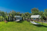 Lemon Factor Sorrento photo 3