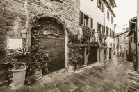 San Michele al Borgo photo 2