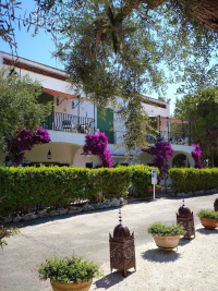 Tenuta Belvedere photo 5